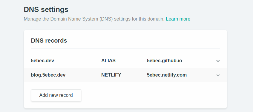 netlify_dns_settings